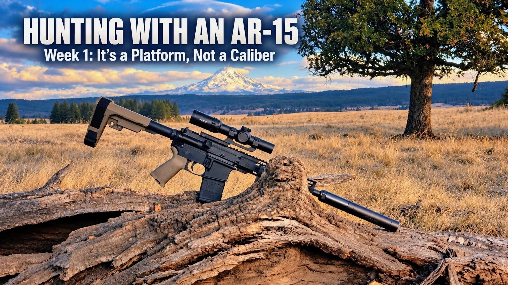 Hunting with an AR-15, Week 1: It's a Platform, Not a Caliber graphic, showing a scoped AR resting on a log in a grassy field below a snow-capped mountain.