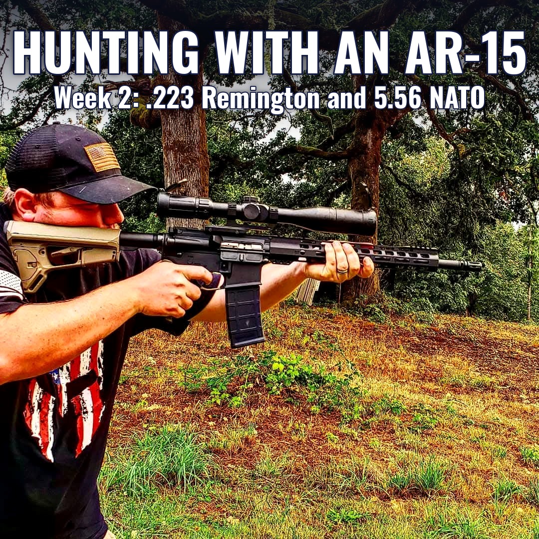 Hunting with an AR-15, Week 2: .223 Remington and 5.56 NATO graphic, MFS Media