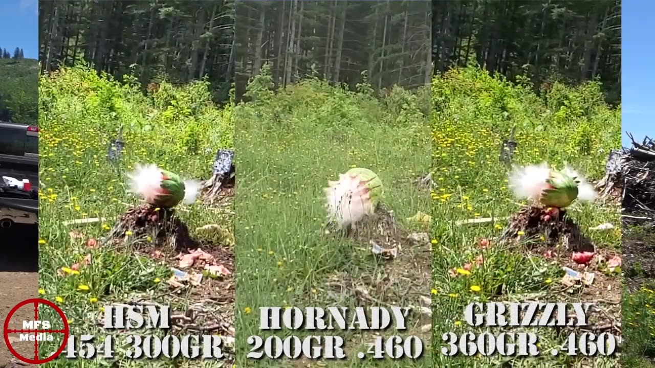Side-by-side slow-motion frames of three watermelons at the moment of impact, labeled HSM 454 300GR, Hornady 200GR .460, and Grizzly 360GR .460